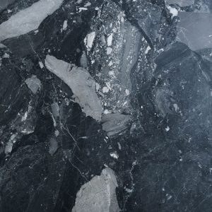 F.S53-لاگوست